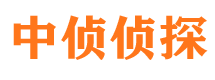 边坝私家调查公司